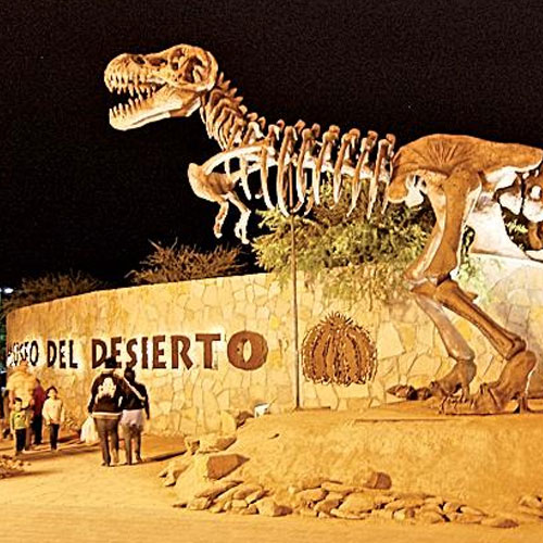 MUSEO DEL DESIERTO (SALTILLO)